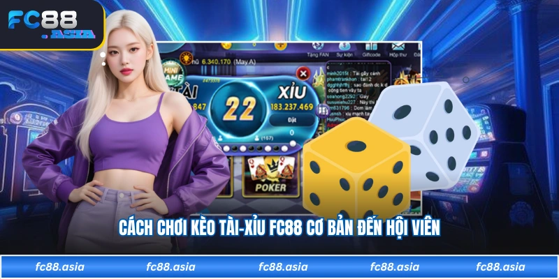 Cách chơi kèo Tài-Xỉu FC88 cơ bản đến hội viên