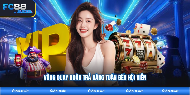 Vòng quay hoàn trả hàng tuần đến hội viên